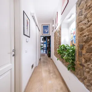 Arte & Piante Appartamento Firenze